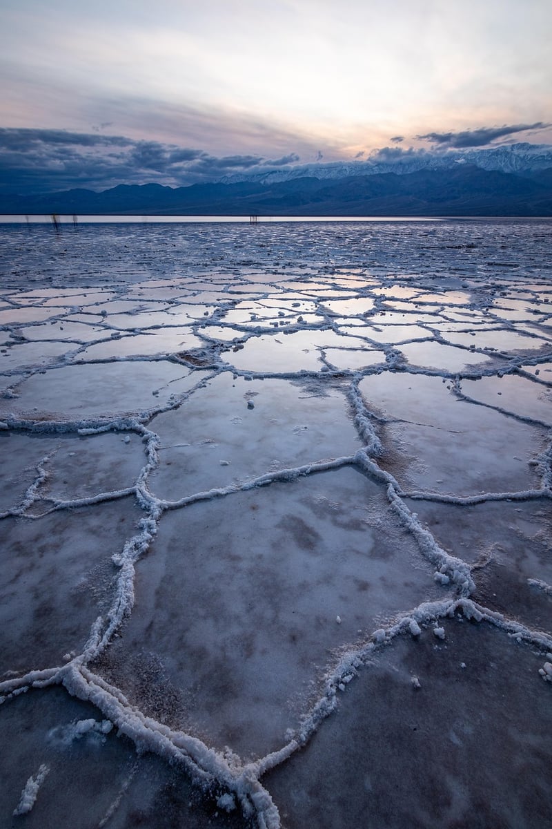 Mojave Desert